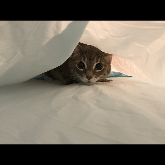 Your Posher... - Picture 5 of 8